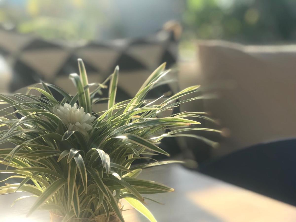 Aonang Eco Villa - Sha Extra Plus Ao Nang Εξωτερικό φωτογραφία